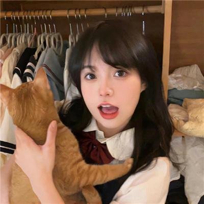 热播剧集片单